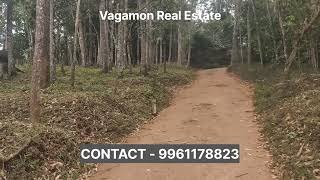 വാഗമണ്ണിൽ 80 സെൻ്റ് സ്ഥലം വിൽപ്പനക്ക്. | #keralarealestate #vagamon