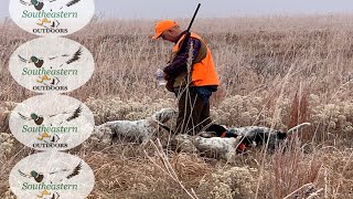 Kansas Quail Hunting - Jan 2-4, 2021