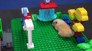 Hamster Lego Obstacle Course – Escape from the Castle!