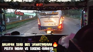 PESONA DRIVER BERPECI!PELITA INDAH (SANTRI MBELING) VS SUGENG RAHAYU LOTUS