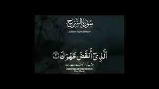 Alam Nashrah Laka Sadrak | Alam Nashrah | Surah Alam Nashrah | #youtubeshorts #ytshort #viral