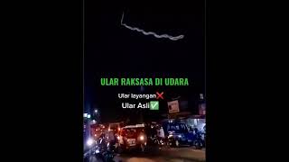 Viral di Tiktok !! Ular Raksasa Melayang Di Udara