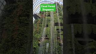 Waterfall in Cloud Forest - Garden by the Bay #singapore #beautiful #nature #amazing #shorts