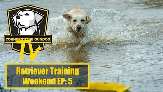 Retriever Training Day: Spring 2022 Member Weekend Part 2