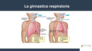 Fisioterapia respiratoria - esercizi da fare post polmonite/bpco/covid-19