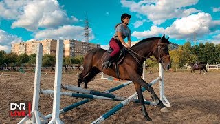 Субкультура: конный спорт в ДНР