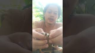 kasiat gelang tulang hiu,penangkal santet,sihir,pelet,teluh