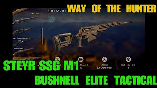 WOTH TESTING THE STEYR SSG M1 + NEW BUSHNELL ELITE TACTICAL SCOPE