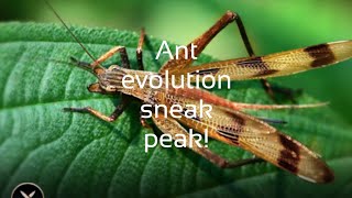 The Ants: Underground Kingdom- NEW special ant evolution sneak peak!