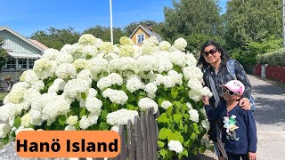 HANÖ ISLAND AMAZING EXPERIENCE || A FULL DAY TRIP WITH FAMILY || Hanö Blekinge Skärgård || 4K Video