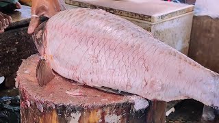 Amazing Emperor Fish Cutting Skills In Bangladesh Fish Market