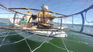 GoPro inside crab pot HD