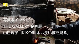 【写真家インタビュー】山口規子 (THE GALLERY 企画展　山口規子「KIKORI 木は長い夢を見る」）| ニコン