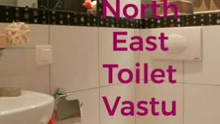 North East Toilet Vastu remedy . पूर्व उत्तर तर्फको शौचालयको लागि वास्तु उपाय। Astro Gopal