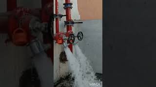 Hydrant valve testing