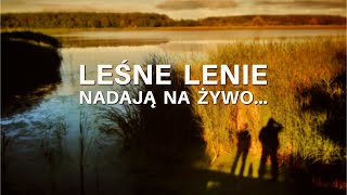 Leśne Lenie nadają na żywo...