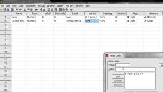 Construindo um Questionário - SPSS