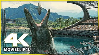 Mosasaurus Feeding Show Scene - Jurassic World (2015) - MᴏᴠɪᴇCʟɪᴘ4ᴜ - [4K 60FPS]