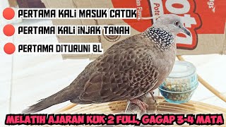 Pertama Kali Injak Tanah, Pertama Masuk Catok, Pertama Kali Dituruni BL || Ajaran Kuk 2 Gagap 3 Mata