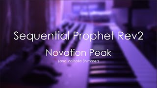 Sequential Prophet Rev2 & Novation Peak - Ambient Track