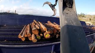 Unloading a load of Timber From a Timbertruck #5