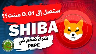 حلم كل متداول بدء يتحقق الحق الفرصه  الشيبا الي 0.01 سنت قريبا جدا 🔥shib