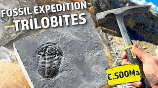 Hunting Ancient Fossils: 500 Million Year Old Trilobites Found!