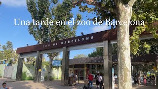 Hoy os enseño el zoo de Barcelona