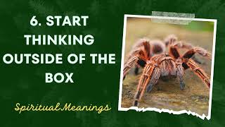 What Does It Mean When You Dream About Tarantula? - LIQUIDS & SOLIDS SPIRIT