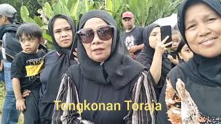 Proses pemakaman Almh. Alfrida Ranteallo 15 mei 2024 culture TORAJA