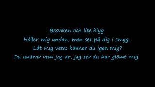 Den Julen Lyrics (Last Christmas Swedish)