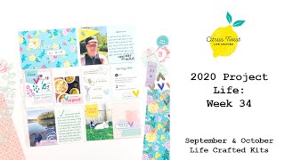 2020 Project Life: Week 34