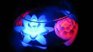 Flores flotantes de LED https://ondine.mx/