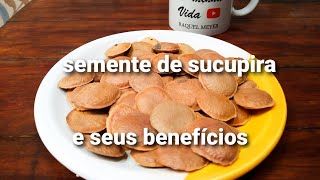 Semente de sucupira, ótimo anti inflamatório!