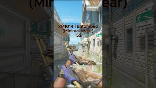 Best XM1014 up to 5$#shortvideo #skins #cs2