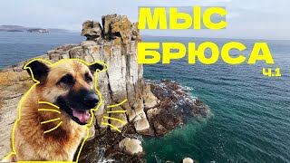 Мыс Брюса: Поход с собачьей стаей 🐕 | Владивосток, Дальний Восток, Море, VLOG Тревел Россия Природа