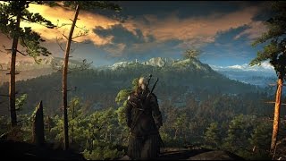 The Witcher 3 - Tribute