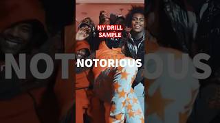 Dd Osama x NY drill Sample Type Beat 2023 "NOTORIOUS" #sdotgo #nydrill #ddosamatypebeat