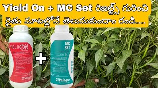 #MC Set#YieldON results in Chilli Crop#మిరపలో Mc set, YieldON రిజల్ట్ రైతు మాటల్లోనే విందాం..