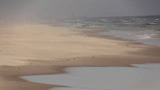 Relaxing Ocean Sounds & Waves, Island Beach State Park, Seaside Park, New Jersey, Multiple Views