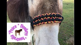 Wide paracord noseband for rope horse halter - KBK bar