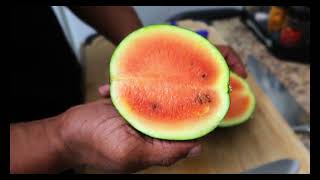 I GREW A SUGAR BABY WATERMELON IN A FABRIC POT! 4K