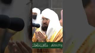 shekh sudais witr dua  #sudas #sheikh___sudais #dua #ramadan #السديس #رمضان #shorts