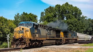 CSX AC44CW 313 leads CSX L799 at Taylors