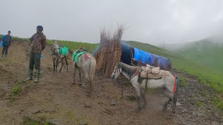 The Best Nepali Mountain Village Life | Rainy Season | Real Rural Village Shepherd Life|organic Food