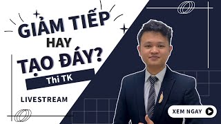 Chứng khoán hôm nay, nhận định thị trường 08/08/2024: Giảm tiếp hay Tạo đáy?