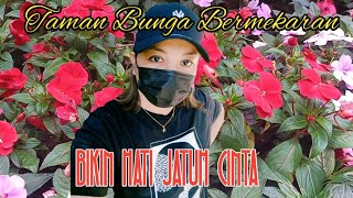 JARANG YANG TAU⁉️ INILAH TANAMAN BUNGA CANTIK YANG JARANG DI TEMUI