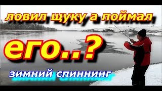 Зимний спиннинг. Поймал красивейшую рыбу.