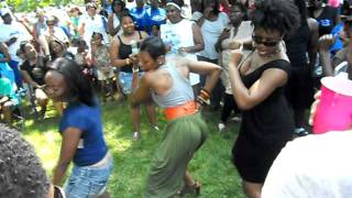 Indianapolis Greek Picnic - Delta Sigma Theta Stro