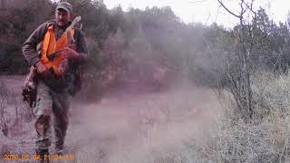 Montana Deer Hunting